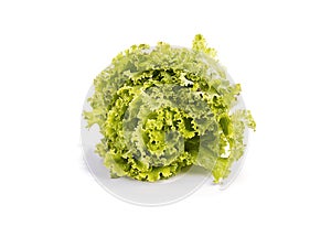 Lettuce on white background