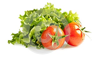 Lettuces salad with tomatoes