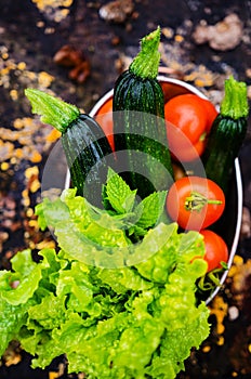 Lettuces, tomatoes and zucchinis