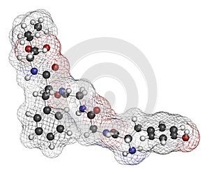 Leu-enkephalin endogenous opioid peptide molecule. 3D rendering. Atoms are represented as spheres with conventional color coding:.