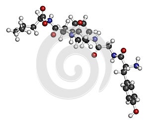 Leu-enkephalin endogenous opioid peptide molecule. 3D rendering. Atoms are represented as spheres with conventional color coding:.