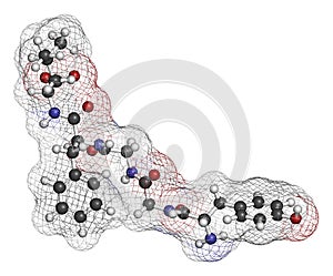 Leu-enkephalin endogenous opioid peptide molecule. 3D rendering. Atoms are represented as spheres with conventional color coding:. photo