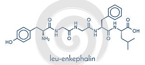 Leu-enkephalin endogenous opioid peptide molecule. Skeletal formula. photo