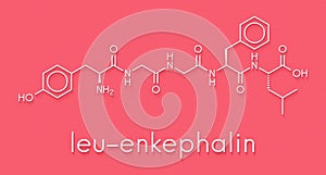 Leu-enkephalin endogenous opioid peptide molecule. Skeletal formula. photo