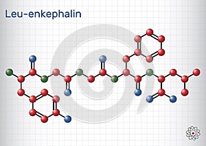 Leu-enkephalin molecule. Endogenous opioid peptide. Molecule model. Sheet of paper in a cage. Vector photo