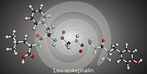 Leu-enkephalin molecule. Endogenous opioid peptide. Molecular model. 3D rendering photo