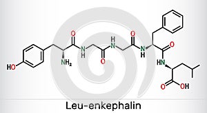 Leu-enkephalin molecule. Endogenous opioid peptide. Skeletal chemical formula. Vector photo