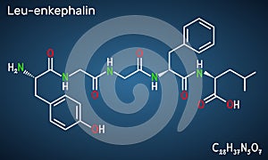 Leu-enkephalin molecule. Endogenous opioid peptide. Structural chemical formula, dark blue background. Vector photo