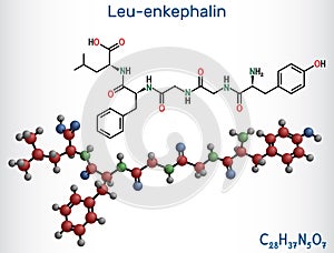 Leu-enkephalin molecule. Endogenous opioid peptide. Structural chemical formula and molecule model. Vector photo