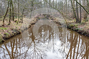 Leubeek river in the Leudal nature reserve with fallen tree trunks in the misty and blurred background