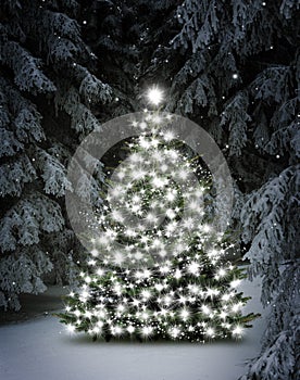 Leuchtender Weihnachtsbaum im Schnee bei Nacht an Heiligabend