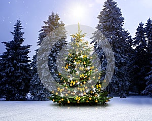 Leuchtender Weihnachtsbaum im Schnee bei Nacht an Heiligabend photo