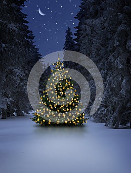 Leuchtender Weihnachtsbaum im Schnee bei Nacht an Heiligabend photo