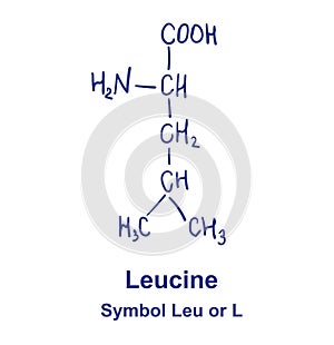 Leucine chemical structure. Vector illustration Hand drawn photo