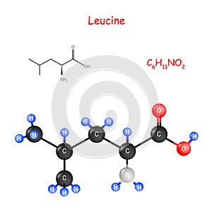 Leucine. Chemical structural formula and model of molecule photo