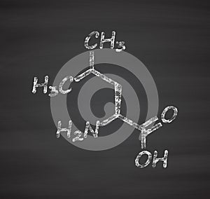 Leucine (l-leucine, Leu, L) amino acid molecule