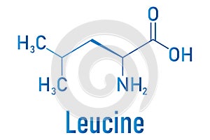 Leucine or l-leucine, Leu, L amino acid molecule. Skeletal formula.