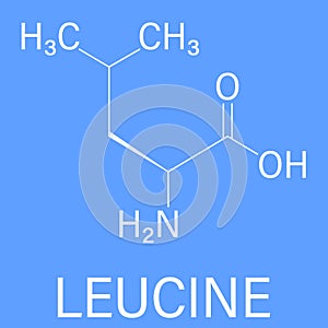 Leucine or l-leucine, Leu, L amino acid molecule. Skeletal formula.