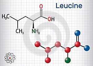 Leucine L- leucine, Leu, L molecule. It is essential amino acid. Sheet of paper in a cage. Structural chemical formula and