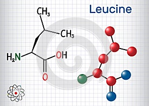 Leucine L- leucine, Leu, L molecule. It is essential amino acid. Sheet of paper in a cage. Structural chemical formula and