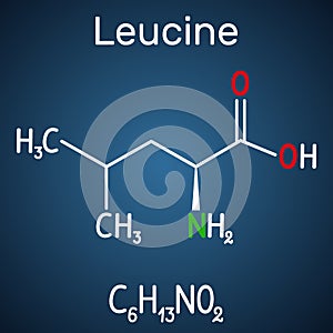 Leucine L- leucine, Leu, L molecule. It is essential amino acid. Structural chemical formula on the dark blue background