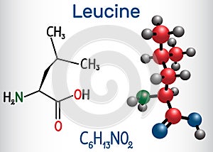 Leucine L- leucine, Leu, L molecule. It is essential amino acid. Structural chemical formula and molecule model