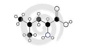 leucine molecule, structural chemical formula, ball-and-stick model, isolated image essential amino acid