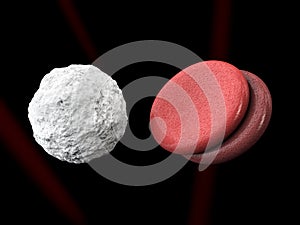 Leucocytes and blood cells isolated black, 3d Illustration
