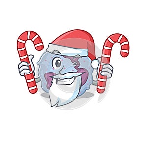 Leukocyte cell Cartoon character in Santa costume with candy