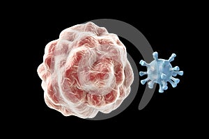 Leukocyte engulfing virus