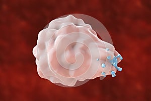 Leukocyte engulfing virus