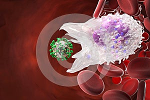 Leukocyte white blood cells inside a human vein. . 3d render.