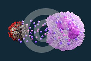 Leukocyte, white blood cells inside a human vein. . 3d render.