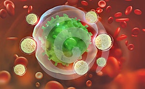 Leukocytes attack the virus. Immunity of the body photo