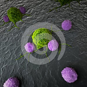 Leukocytes attacking a cancer cell