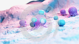 Leukocytes attacking a cancer cell