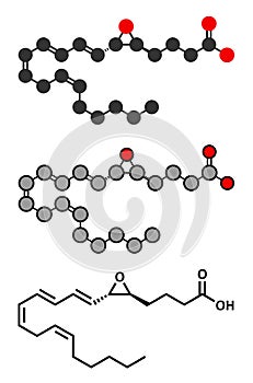 leukotriene A4 (LTA4) molecule