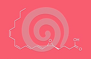 leukotriene A4 LTA4 molecule. Skeletal formula.