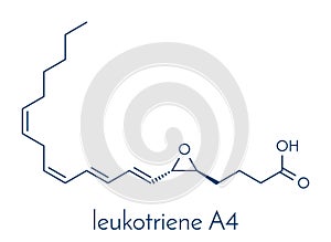 leukotriene A4 LTA4 molecule. Skeletal formula.