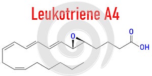 Leukotriene A4 or LTA4 molecule. Skeletal formula.