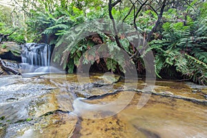 Leura falls, Blue Mountains, Australia