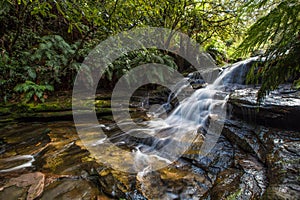 Leura Falls, Blue Mountains, Australia photo