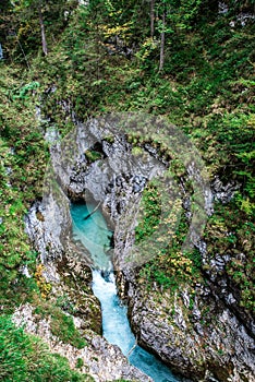 Leutaschklamm - wild gorge with river in the alps of Germany