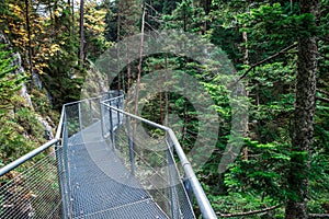 Leutaschklamm - wild gorge with river in the alps of Germany