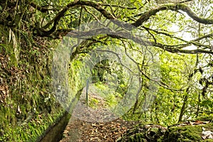 Levada of Caldeirao Verde, Madeira, Portugal