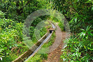 Levada da Portela, Madeira, Portugal photo