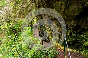 Levada da Portela, Madeira, Portugal photo