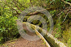 Levada da Portela, Madeira, Portugal photo