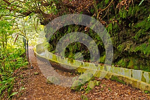 Levada da Portela, Madeira, Portugal photo