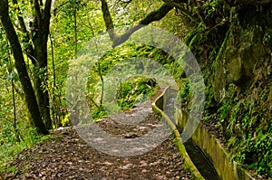 Levada da Portela, Madeira, Portugal photo